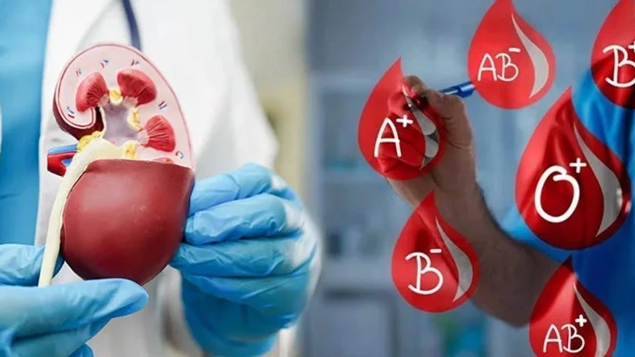Shkencëtarët krijuan “veshkën universale”: mund të pranohet nga çdo pacient